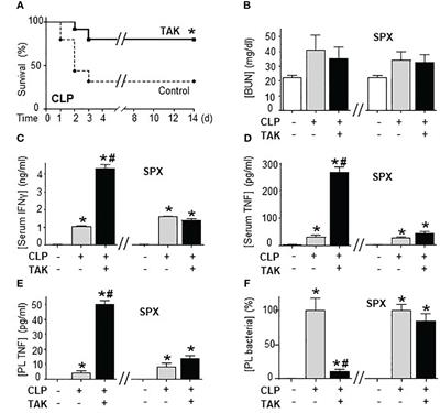 Splenic SUMO1 controls systemic inflammation in experimental sepsis